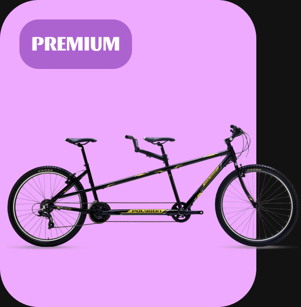 tandem cycle on rent, premium cycles