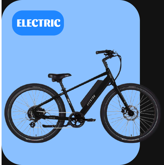 electric cycle on rent